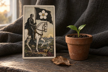 A Death tarot card with a white horse and rose flag beside a green seedling and dry leaf